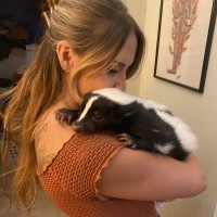 Foto Nr. 248745
