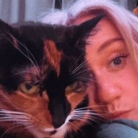 Foto Nr. 248759
