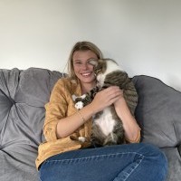 Foto Nr. 248891