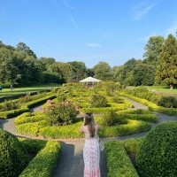 Foto Nr. 250075