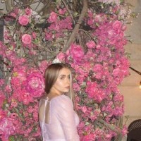 Foto Nr. 250078