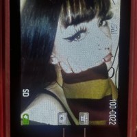 Foto Nr. 250638