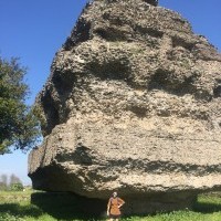 Foto Nr. 251163