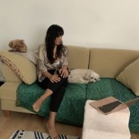 Foto Nr. 251585